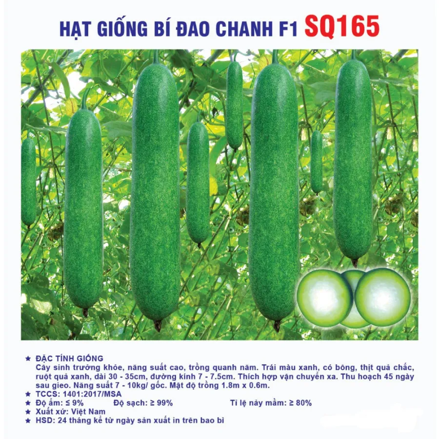 Hạt giống Bí đao chanh F1 SQ165
