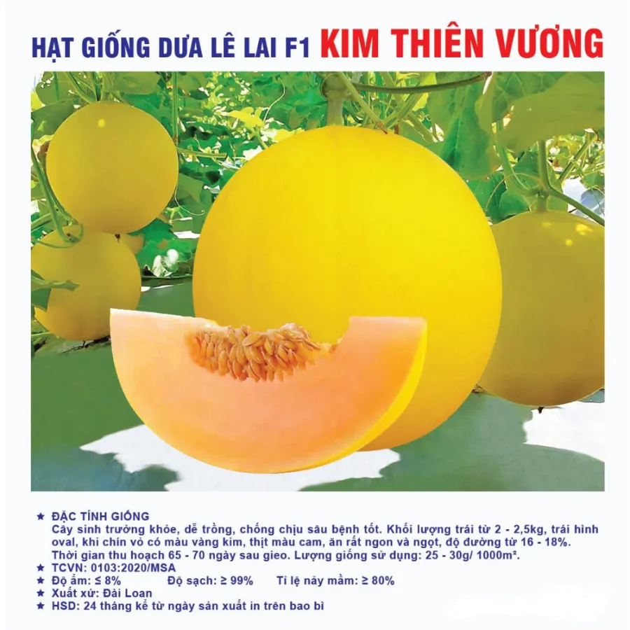 Hạt giống Dưa lê F1 Kim Thiên Vương