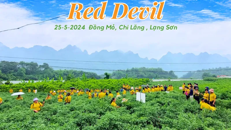 Hội thảo Nông dân Ớt Red Devil Tại Chi Lăng – Lạng Sơn