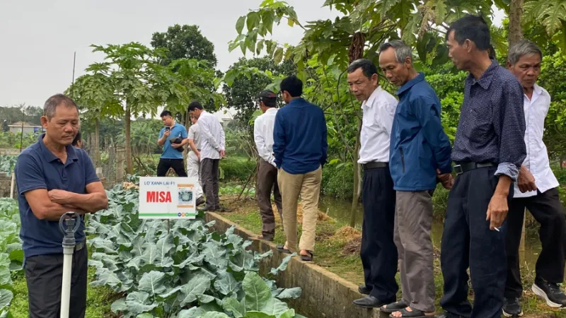 Hội thảo đầu bờ Súp Lơ Xanh Misa tại Hưng Hà Thái Bình