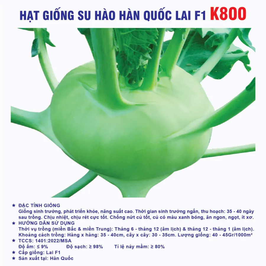 Hạt giống su hào Hàn Quốc lai F1 K800