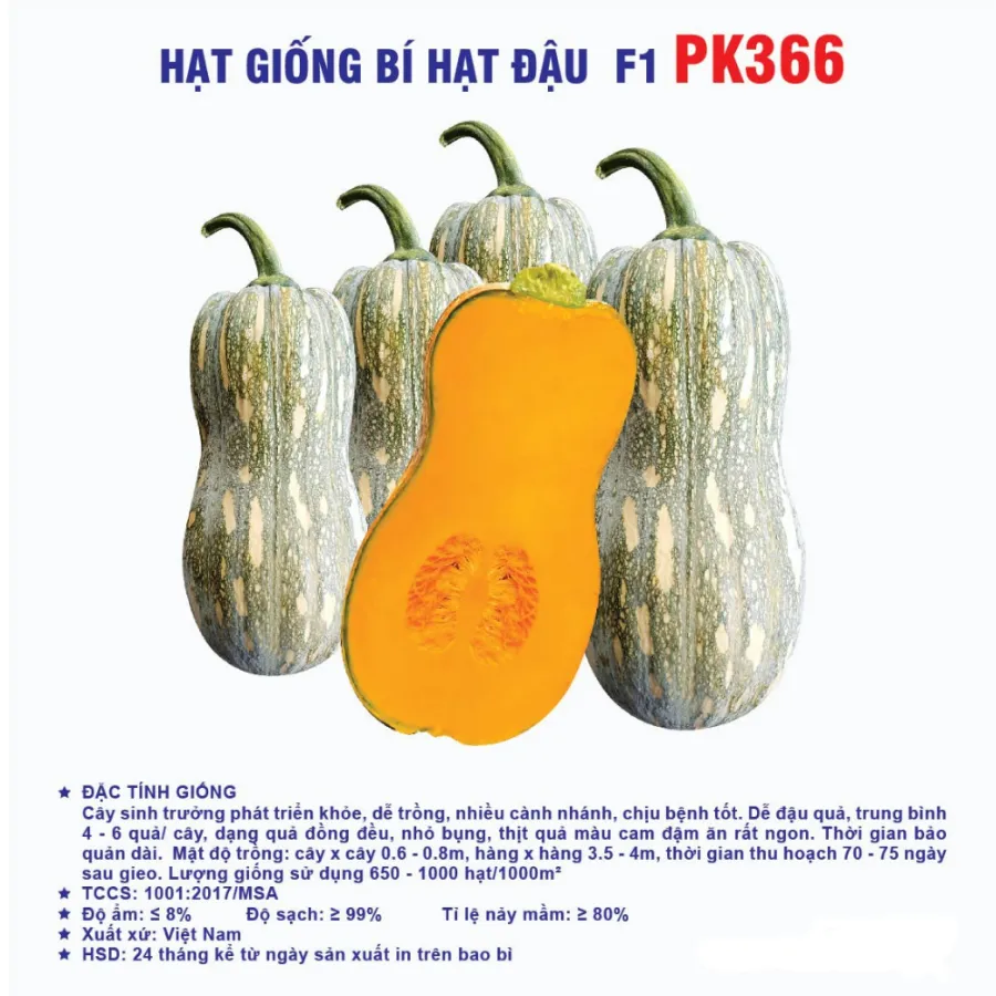 Hạt giống Bí đậu quả dài F1 PK366