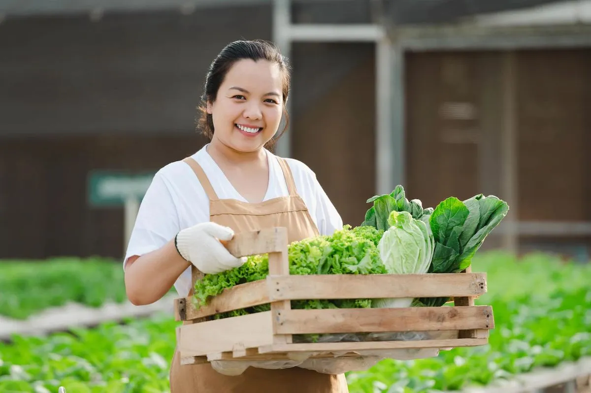 ĐA DẠNG GIỐNG, PHÙ HỢP MÙA VỤ