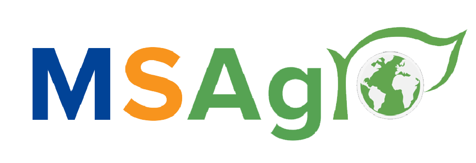 Hạt giống MSA