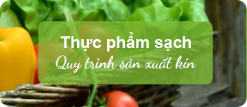 Hạt giống rau chất lượng cao