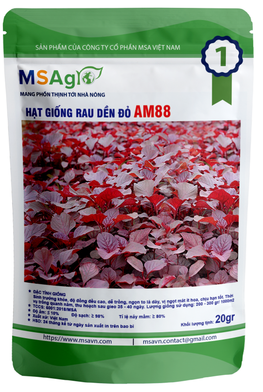 Hạt giống rau chất lượng cao