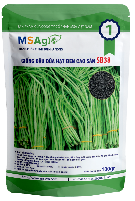Hạt giống rau chất lượng cao