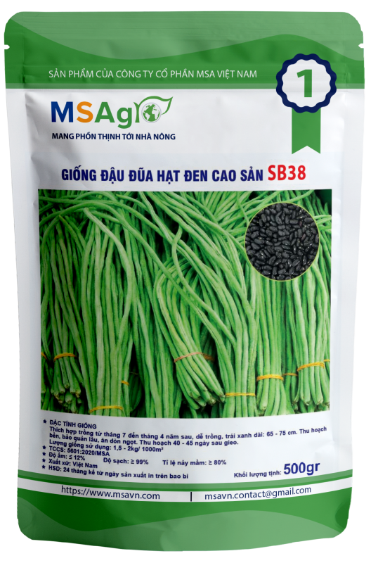 Hạt giống rau chất lượng cao