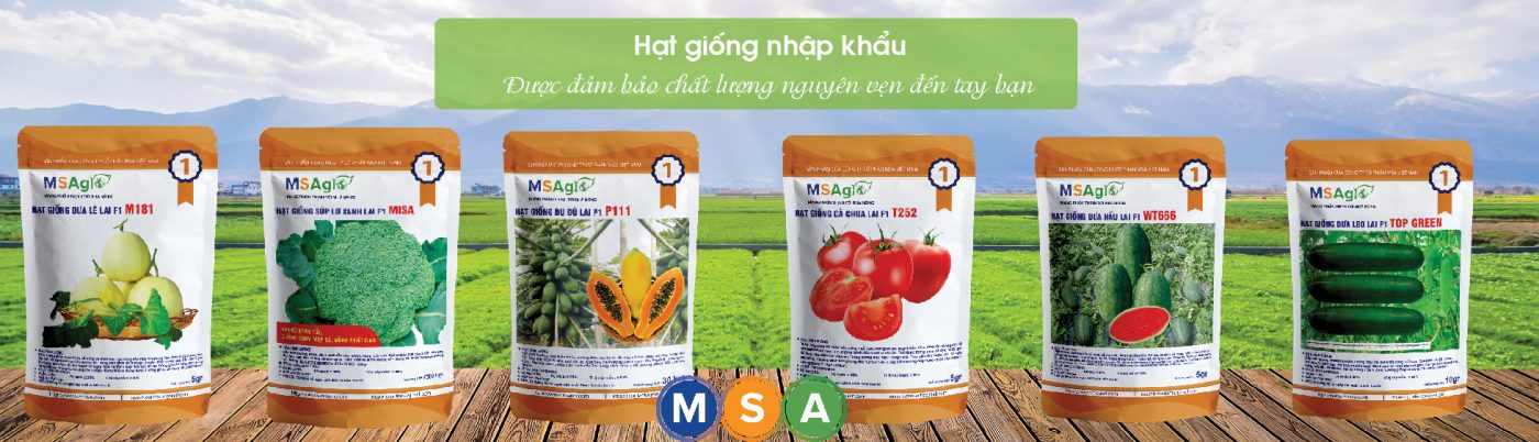 Hạt giống rau chất lượng cao