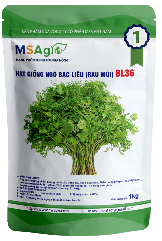 Hạt giống rau chất lượng cao