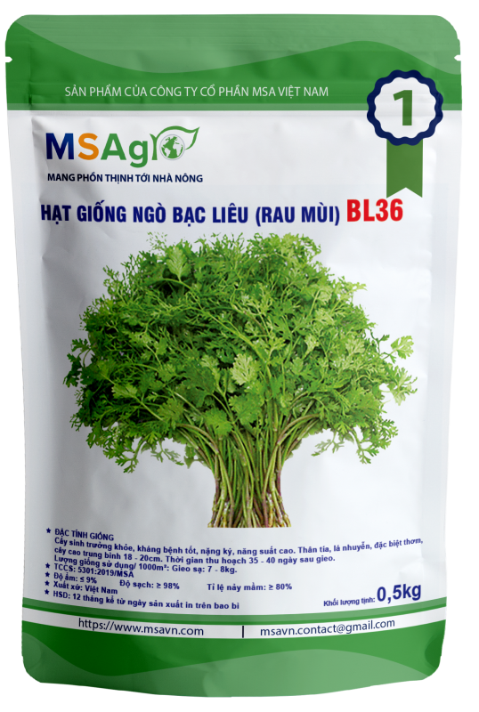 Hạt giống rau chất lượng cao