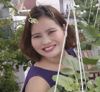 Hạt giống rau chất lượng cao