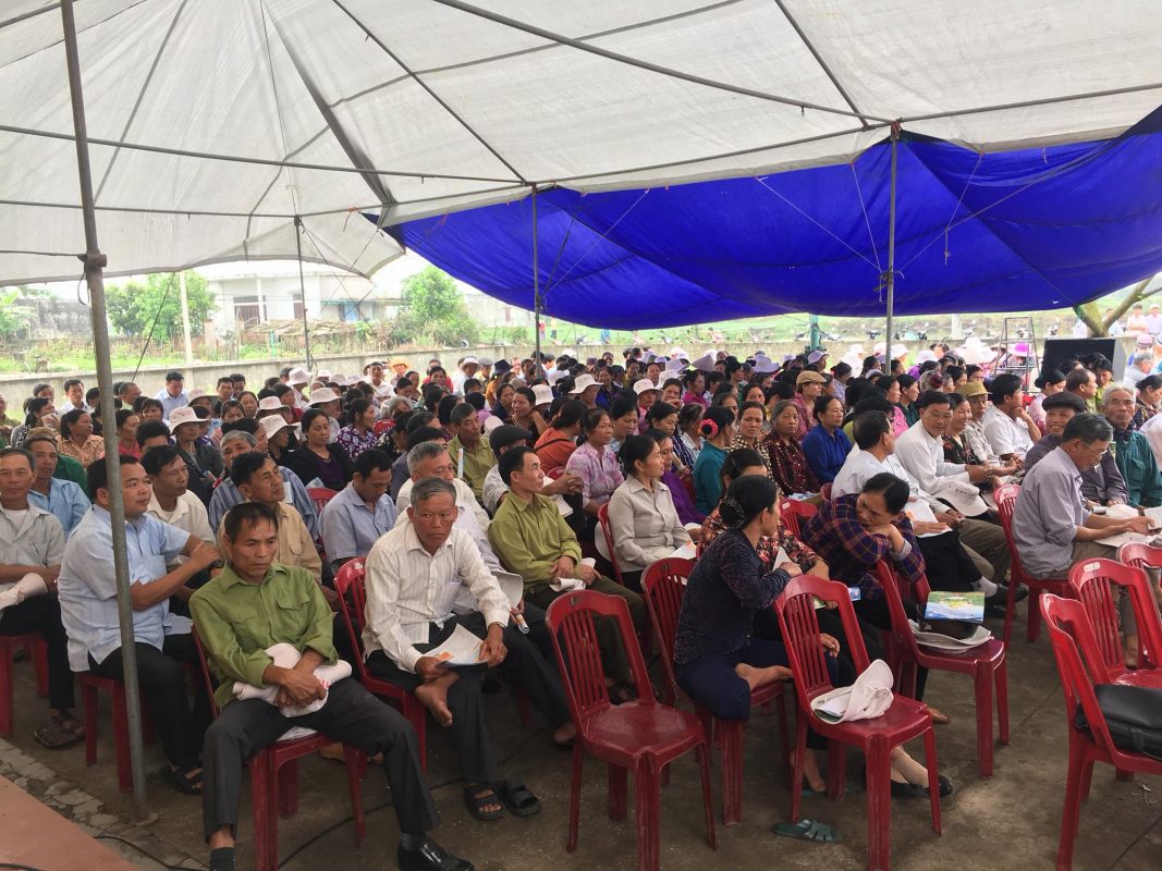 Hạt giống rau chất lượng cao