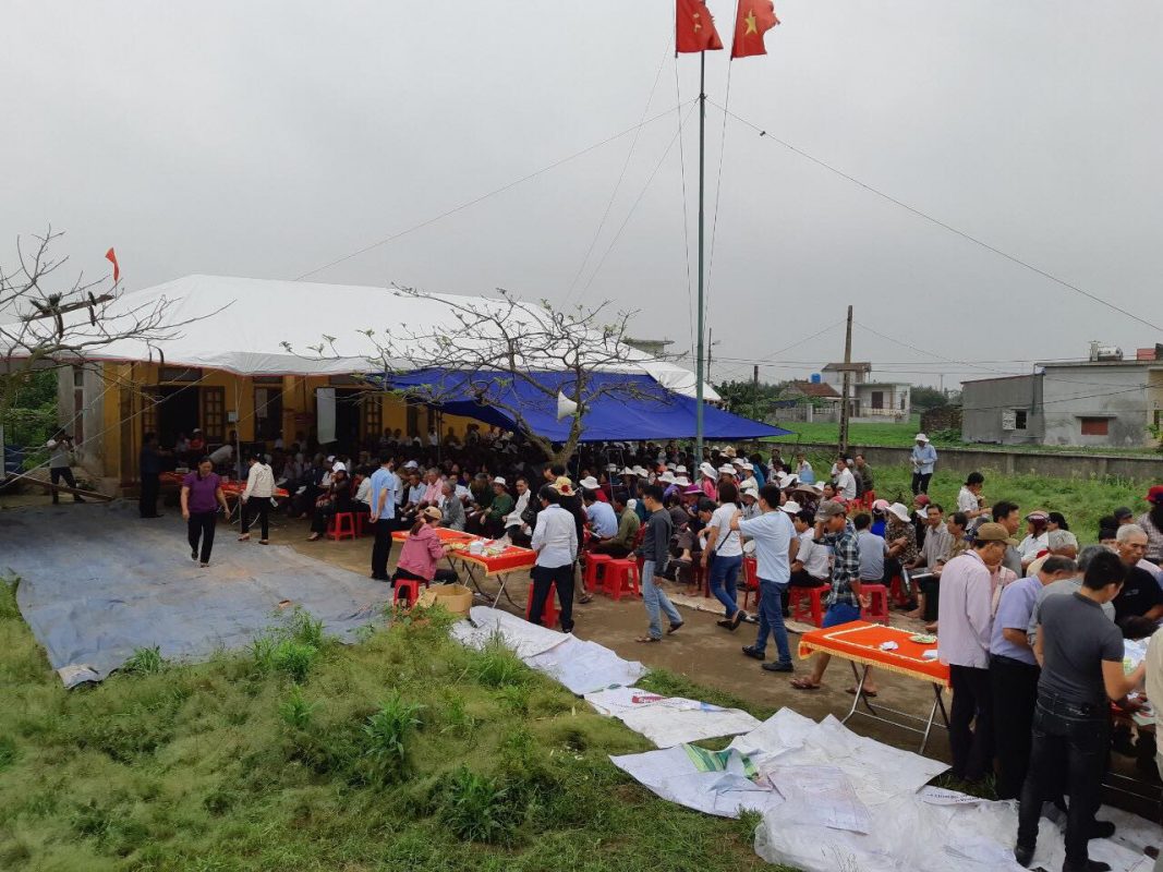 Hạt giống rau chất lượng cao