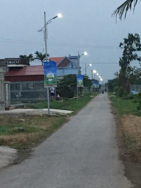 Hạt giống rau chất lượng cao