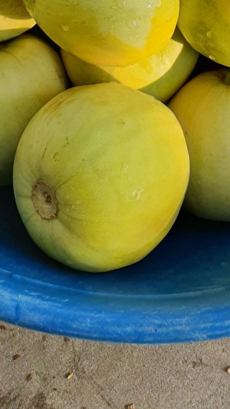 Hạt giống rau chất lượng cao