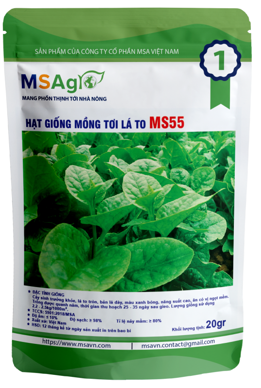 Hạt giống rau chất lượng cao