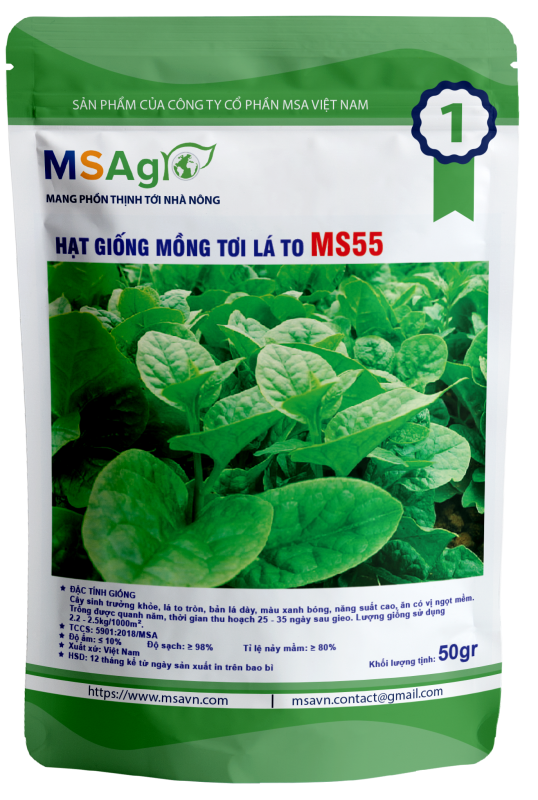 Hạt giống rau chất lượng cao