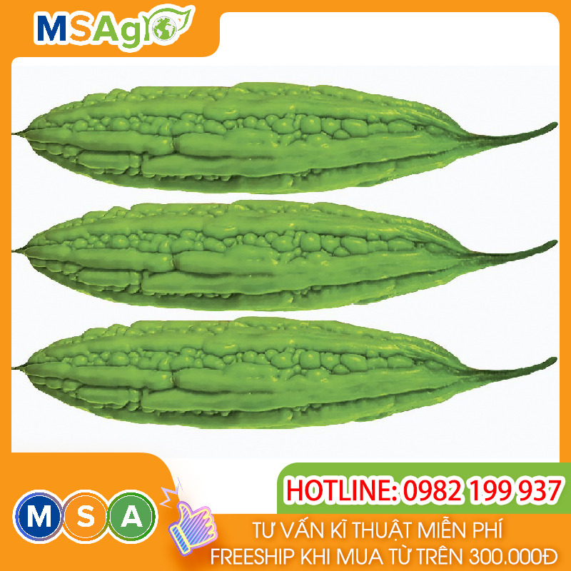 Hạt giống rau chất lượng cao
