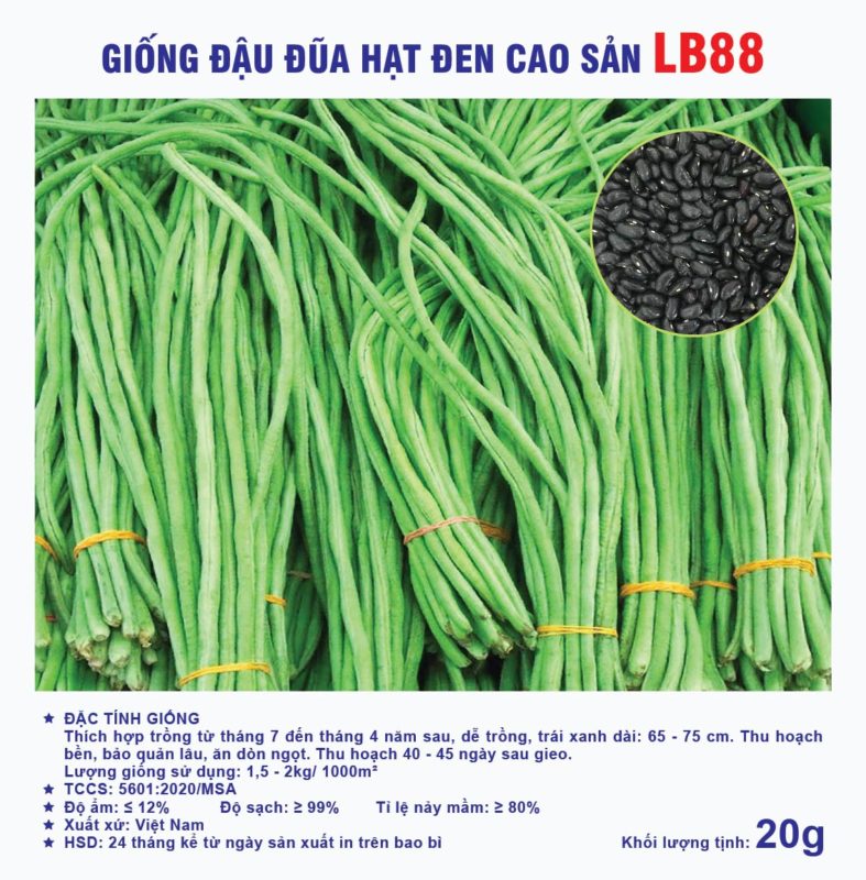 Hạt giống rau chất lượng cao