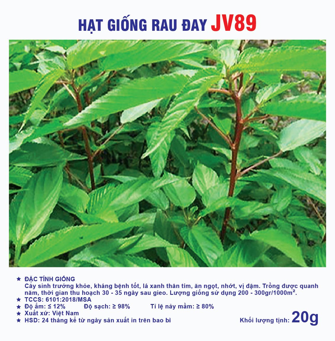 Hạt giống rau chất lượng cao