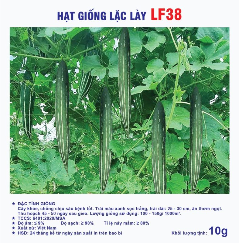 Hạt giống rau chất lượng cao
