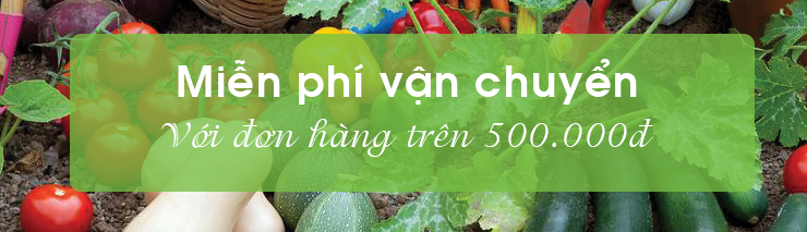 Hạt giống rau chất lượng cao