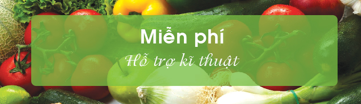 Hạt giống rau chất lượng cao