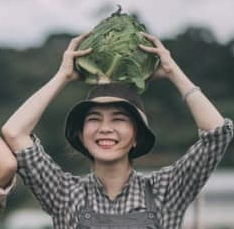 Hạt giống rau chất lượng cao