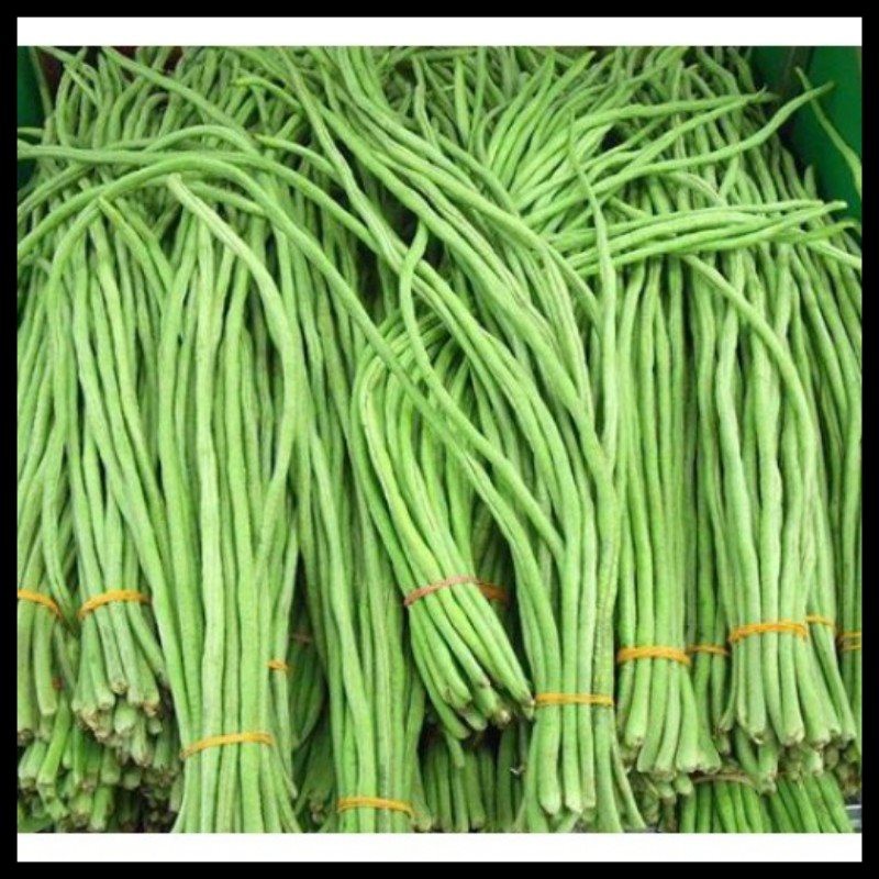 Hạt giống rau chất lượng cao