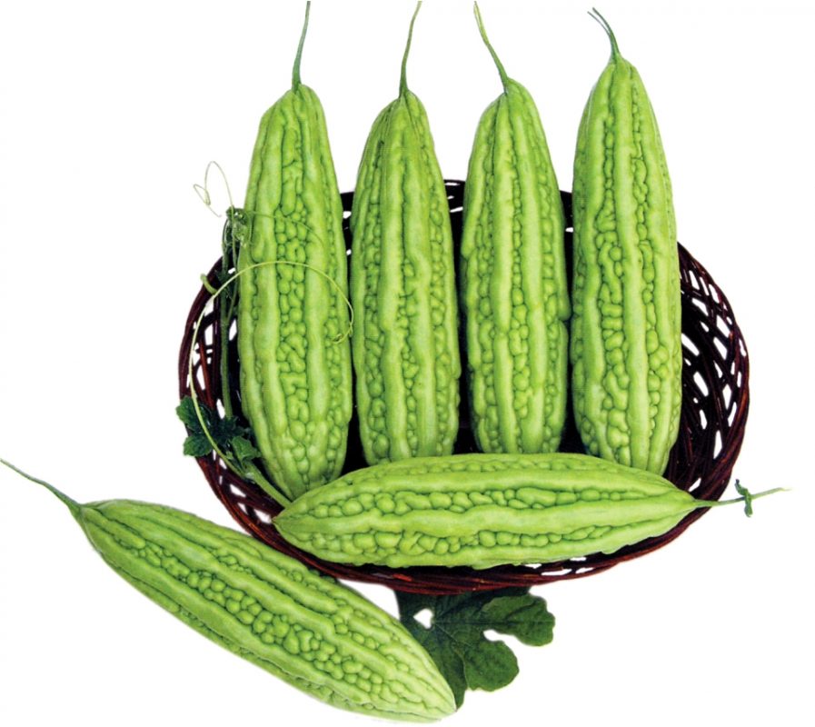 Hạt giống rau chất lượng cao