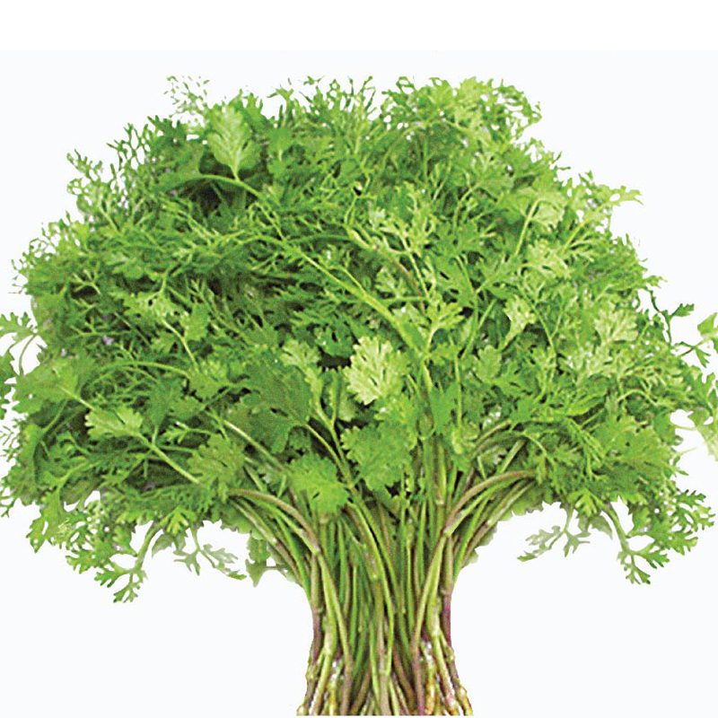 Hạt giống rau chất lượng cao