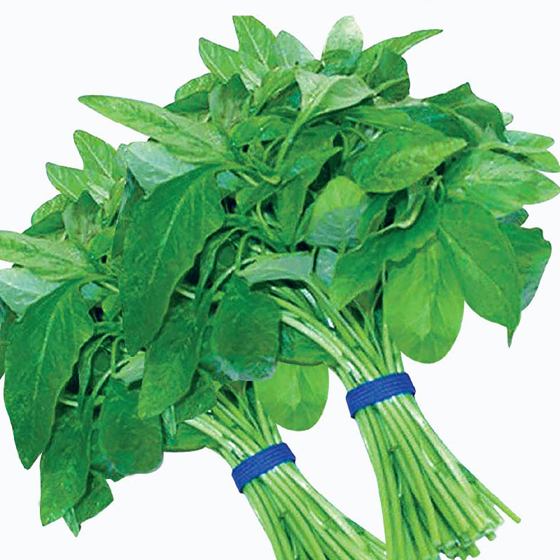 Hạt giống rau chất lượng cao
