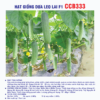 Hạt giống dưa leo lai F1 CCB333