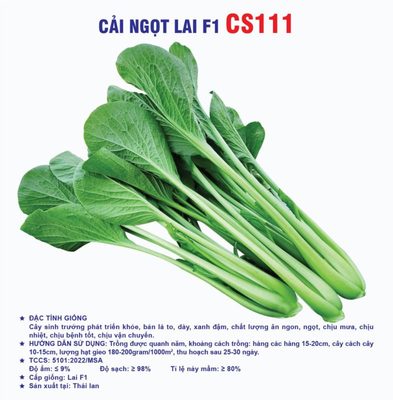 Hạt giống rau chất lượng cao
