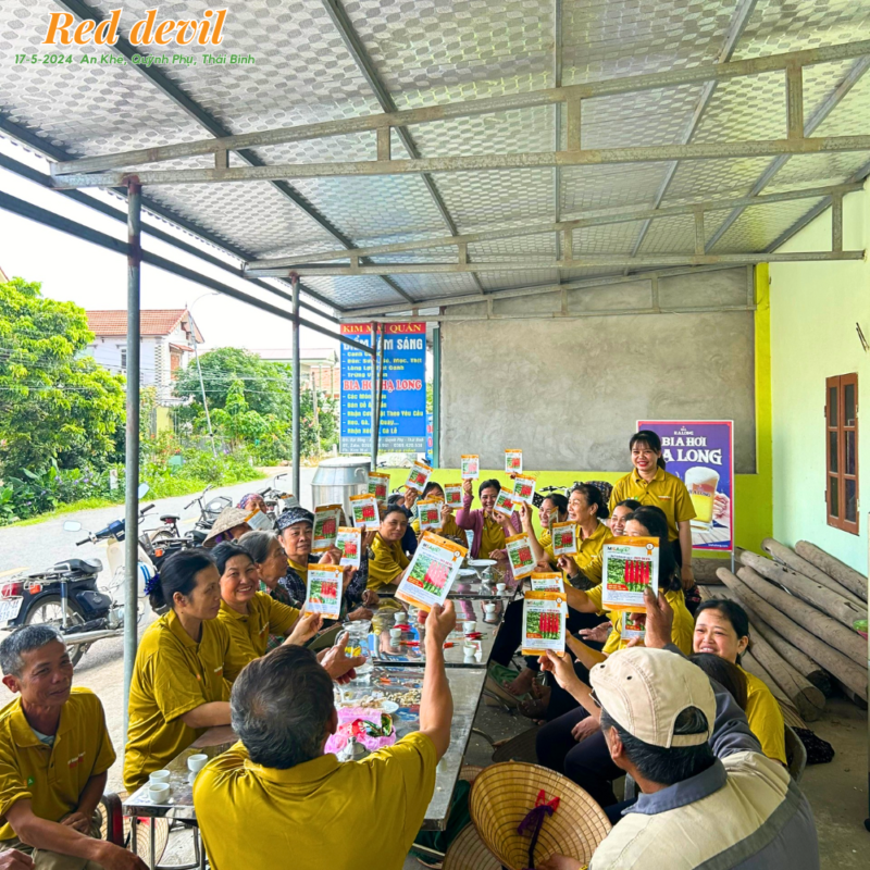 Hạt giống rau chất lượng cao