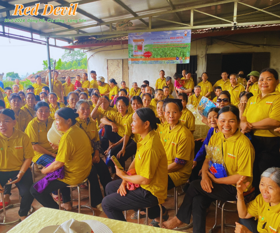 Hạt giống rau chất lượng cao