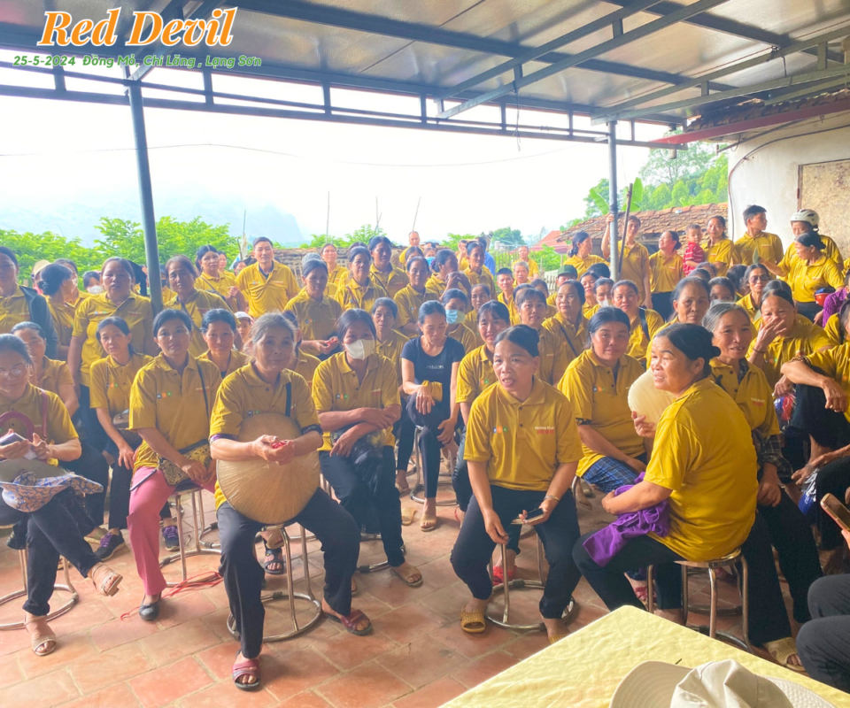 Hạt giống rau chất lượng cao