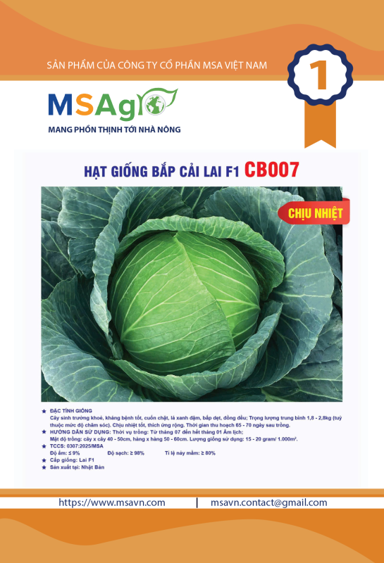 Hạt giống rau chất lượng cao