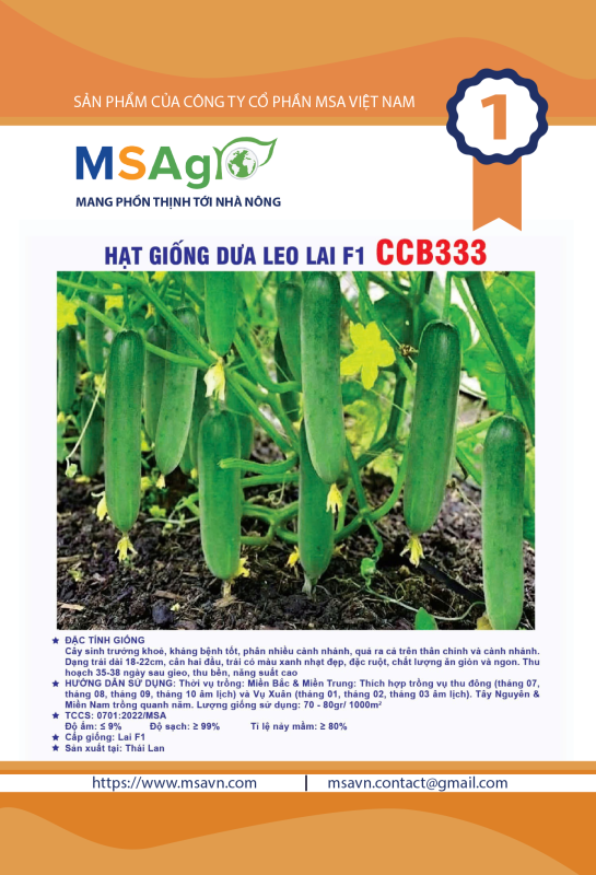 Hạt giống rau chất lượng cao