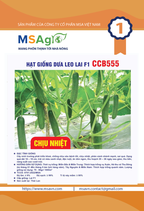 Hạt giống rau chất lượng cao