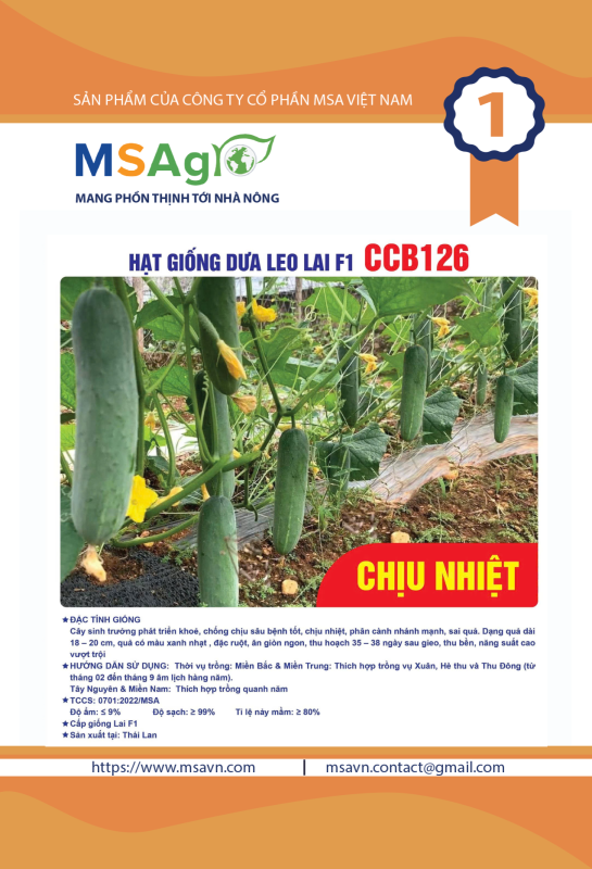 Hạt giống rau chất lượng cao