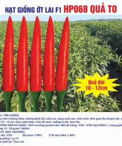Hạt giống Ớt Chỉ Thiên Lai F1 HP068 quả to
