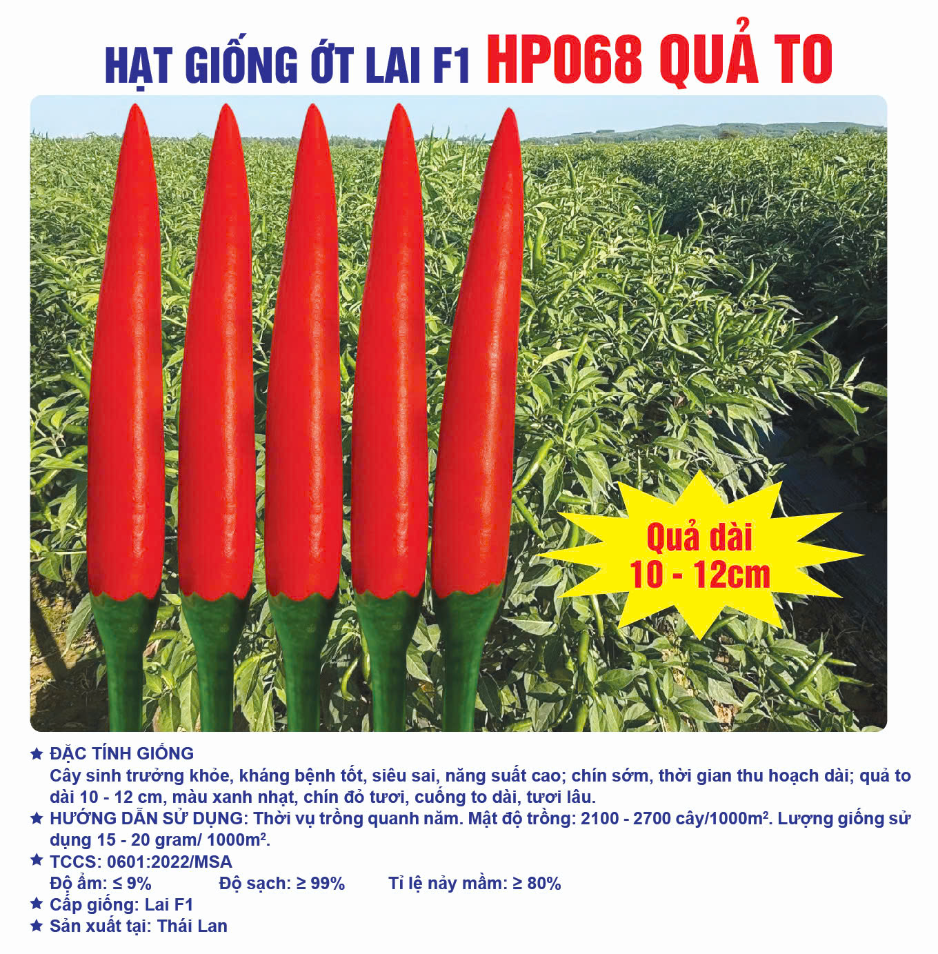 Hạt giống Ớt Chỉ Thiên Lai F1 HP068 quả to