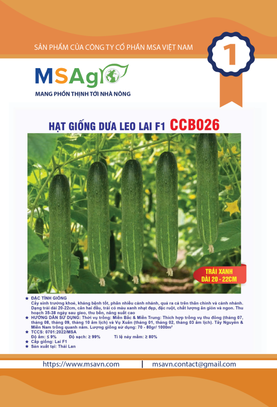 Hạt giống rau chất lượng cao