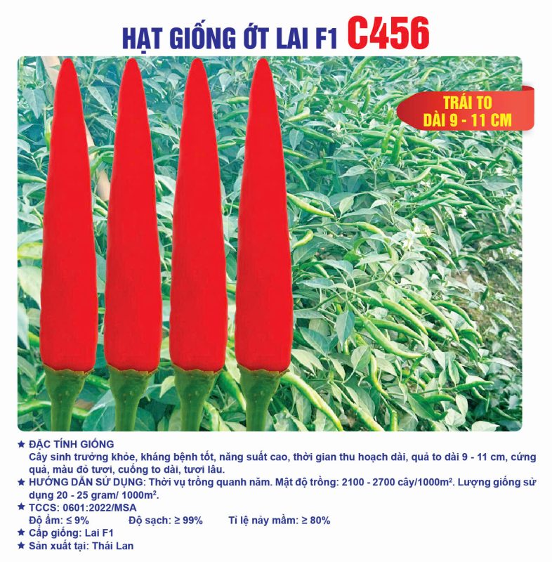 Hạt giống rau chất lượng cao