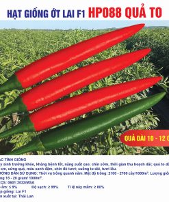 Hạt giống Ớt Chỉ Thiên Lai F1 HP088 quả to