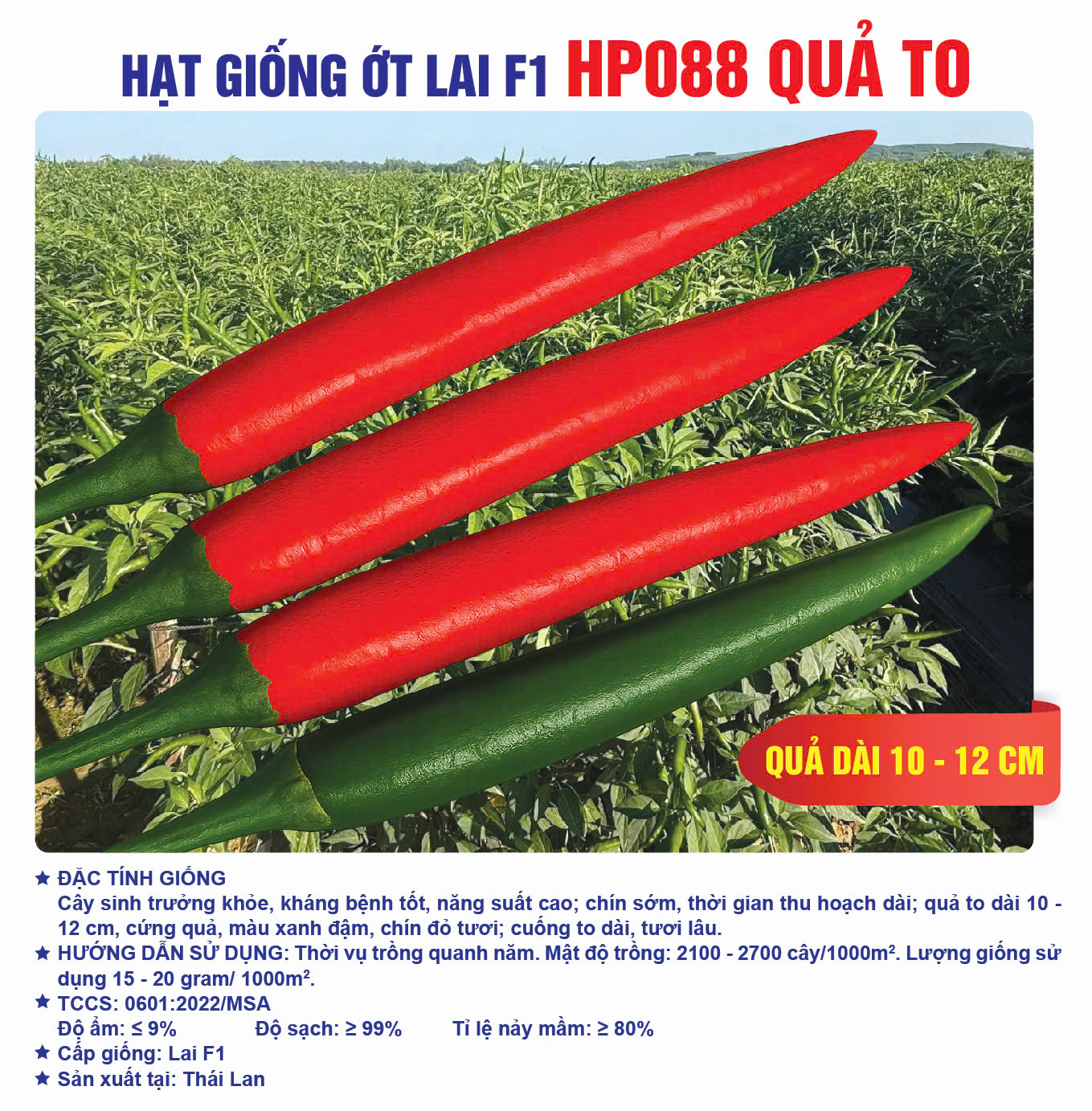 Hạt giống Ớt Chỉ Thiên Lai F1 HP088 quả to